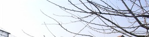 CTA image